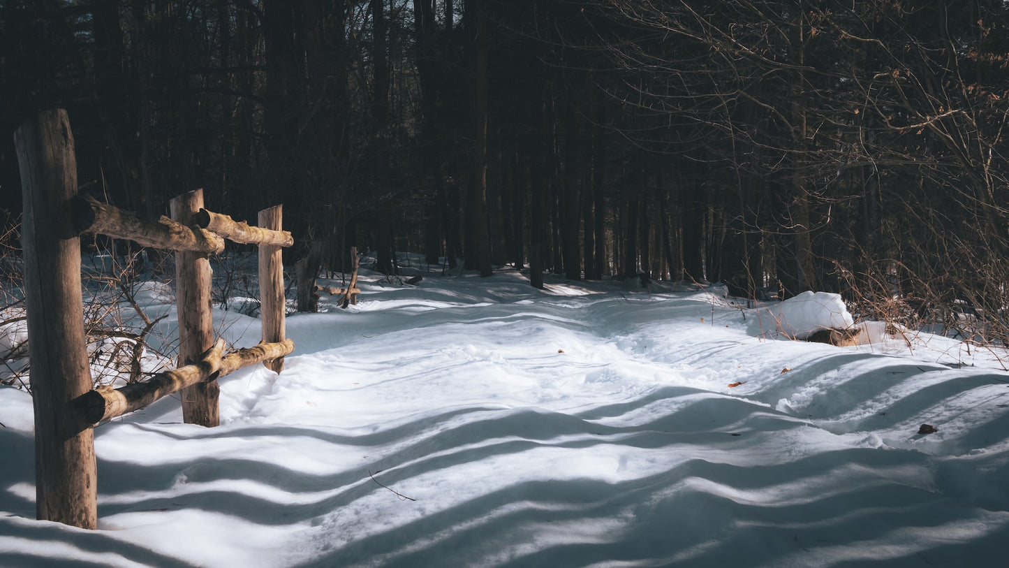 Rustic Woods and Rum