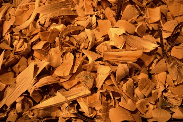 Sunflower and Sandalwood