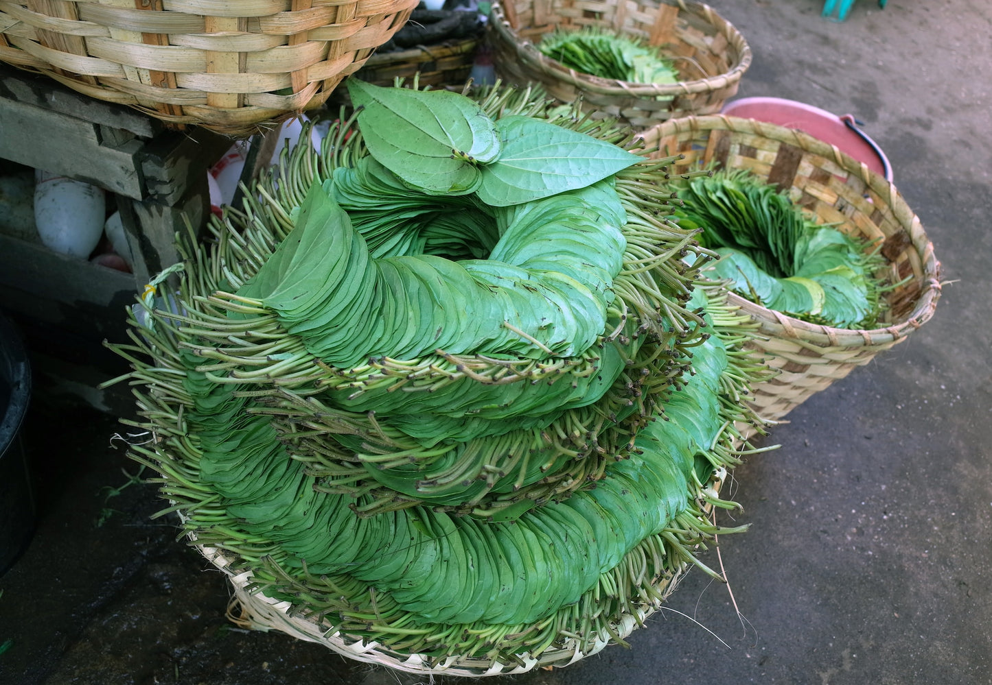 Tabacco and Bay Leaf