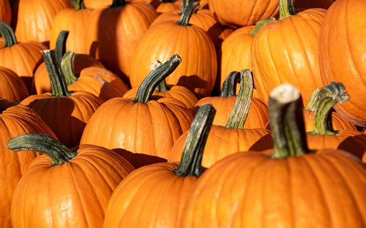 Golden Pumpkin and Cardamon